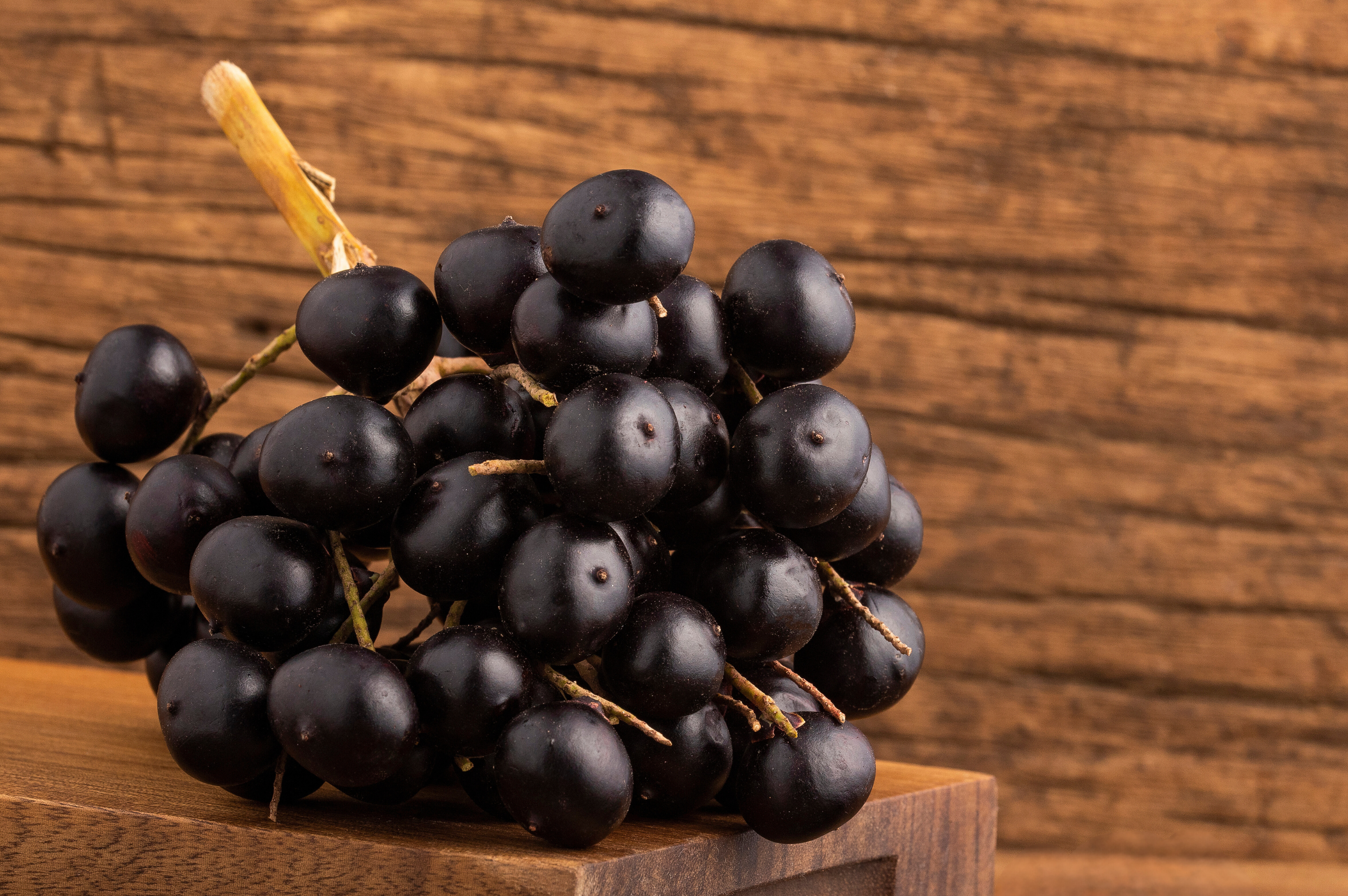 Açaí Oil: Sustainable beauty for cosmetic formulation